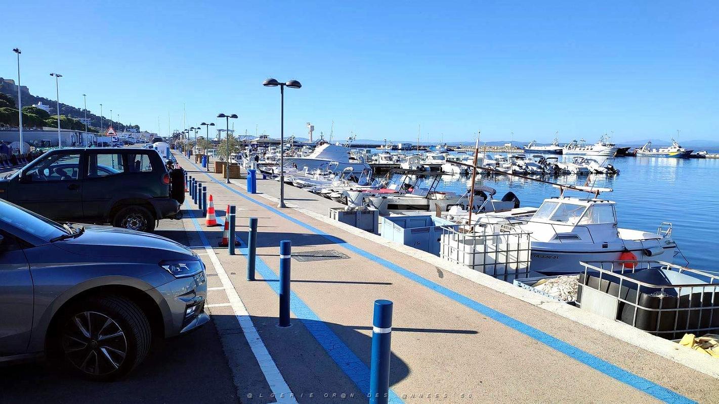 03 - Rosas - Port.jpg